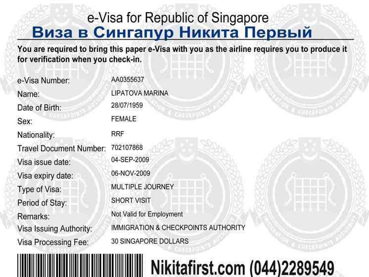 Электронная виза в сингапур для россиян в 2023 году: самостоятельное оформление онлайн