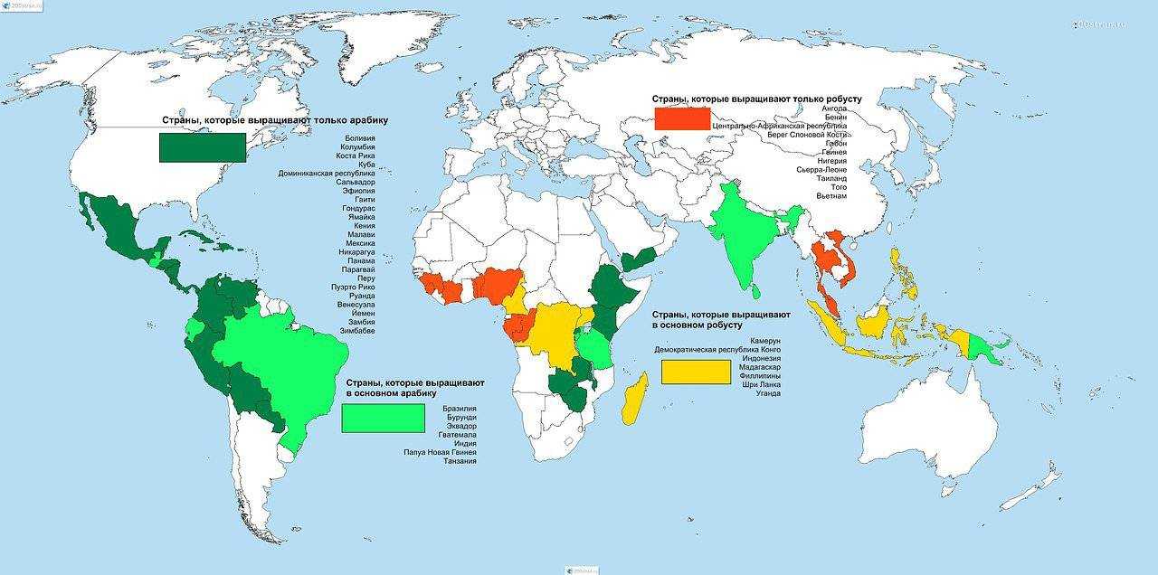 Крупнейшие в мире страны – производители кофе