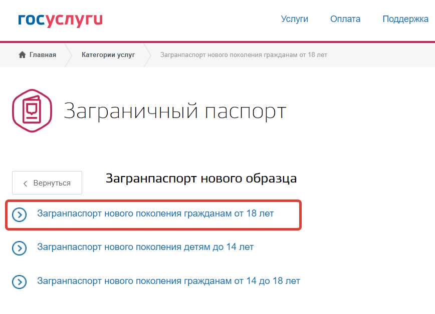 Какие документы нужны для получения загранпаспорта нового образца через госуслуги в 2023 году