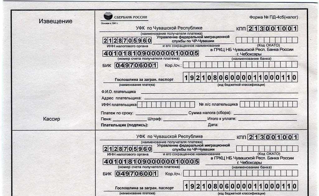 Госпошлина на ребенка на загранпаспорт старого образца