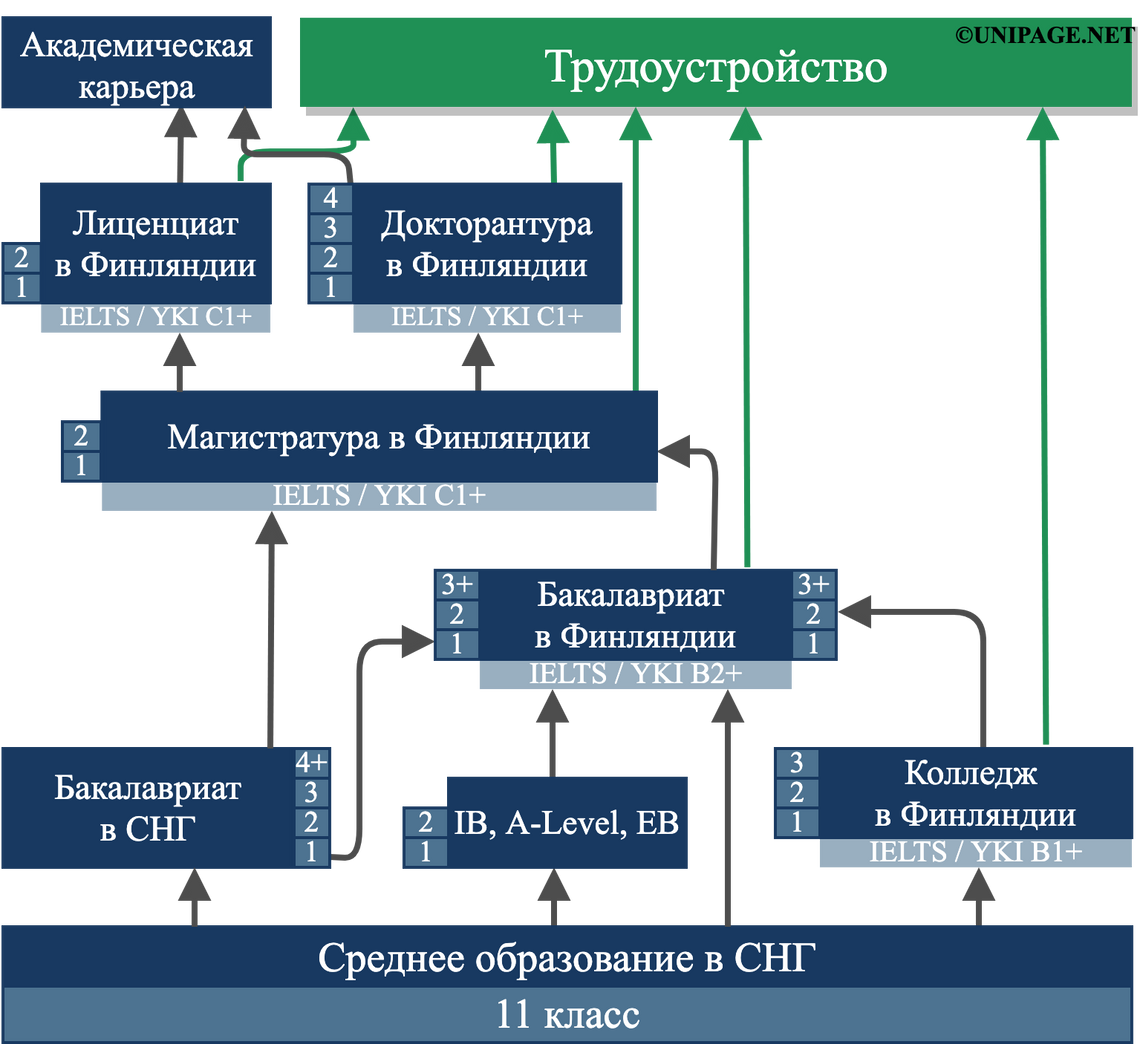 Система образования в финляндии схема