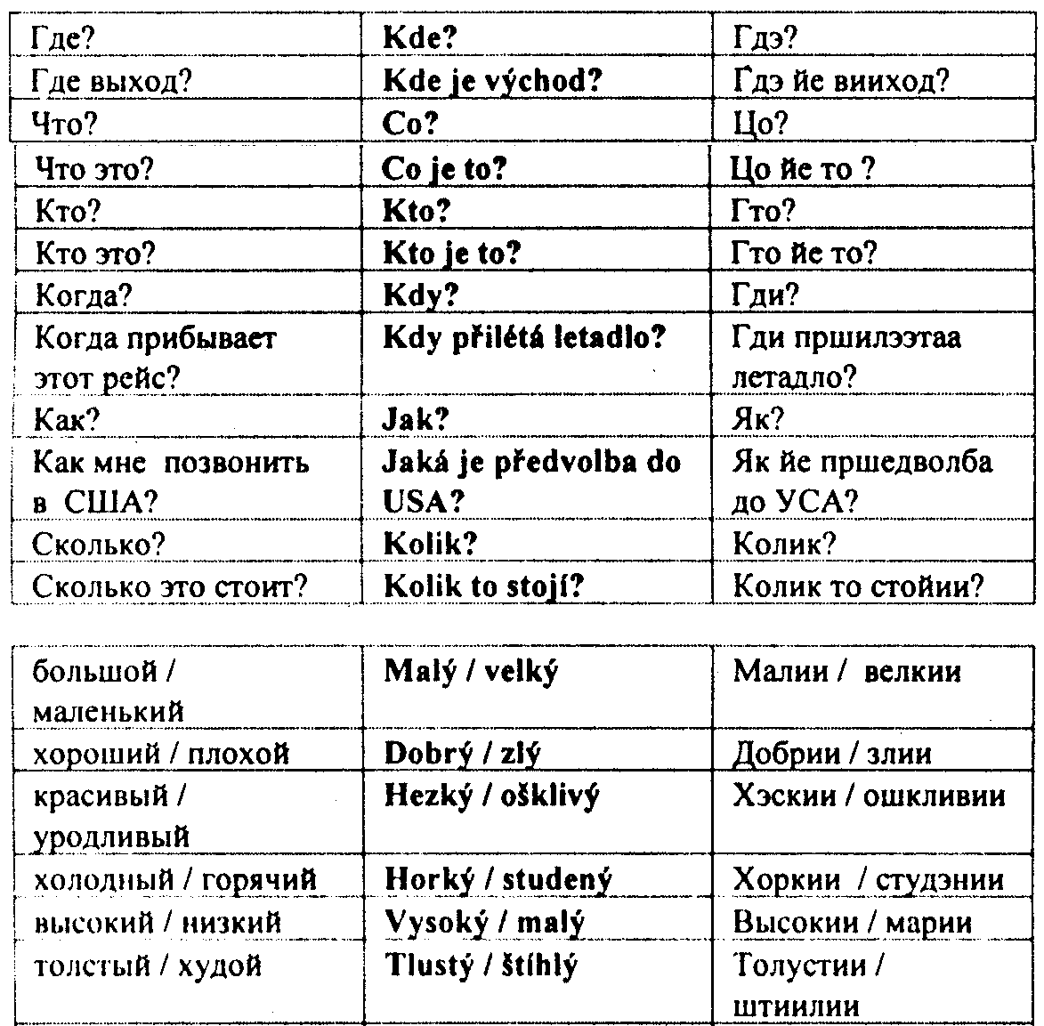 Польские слова в русском