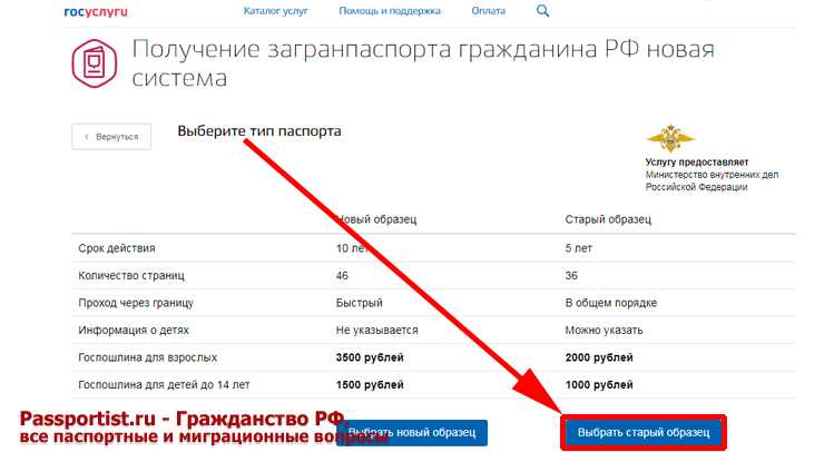 Госпошлина на загранпаспорт нового образца через госуслуги в 2023 году