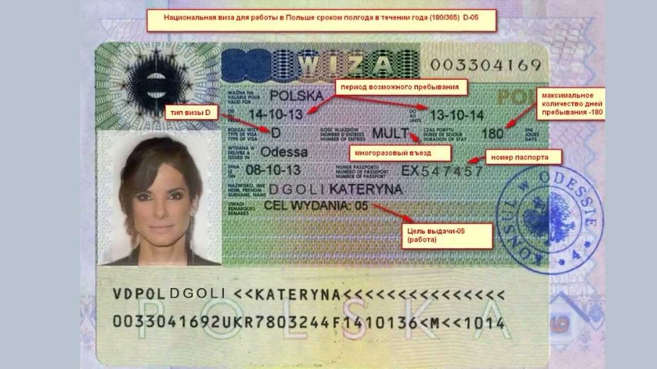 Какая виза нужна в европу