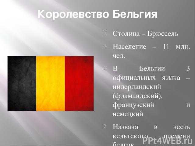 Нидерландский язык на какой похож. Государственный язык Бельгии. Бельгия столица глава государства государственный язык. Голландский и немецкий языки. Государственный язык Бель.