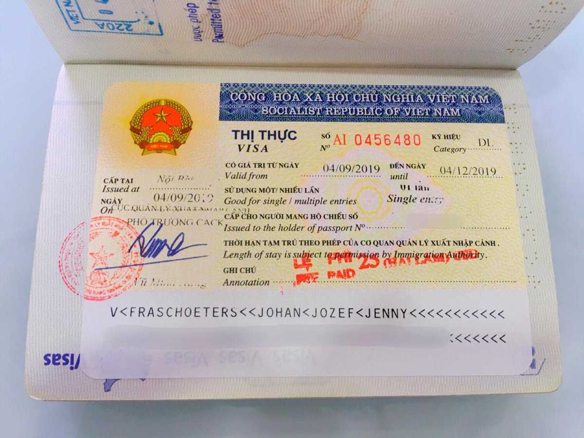 Вьетнам нужна виза для россиян 2024. Виза во Вьетнам. Как выглядит виза Вьетнам. Виза Вьетнам фото. Как выглядит электронная виза во Вьетнам.